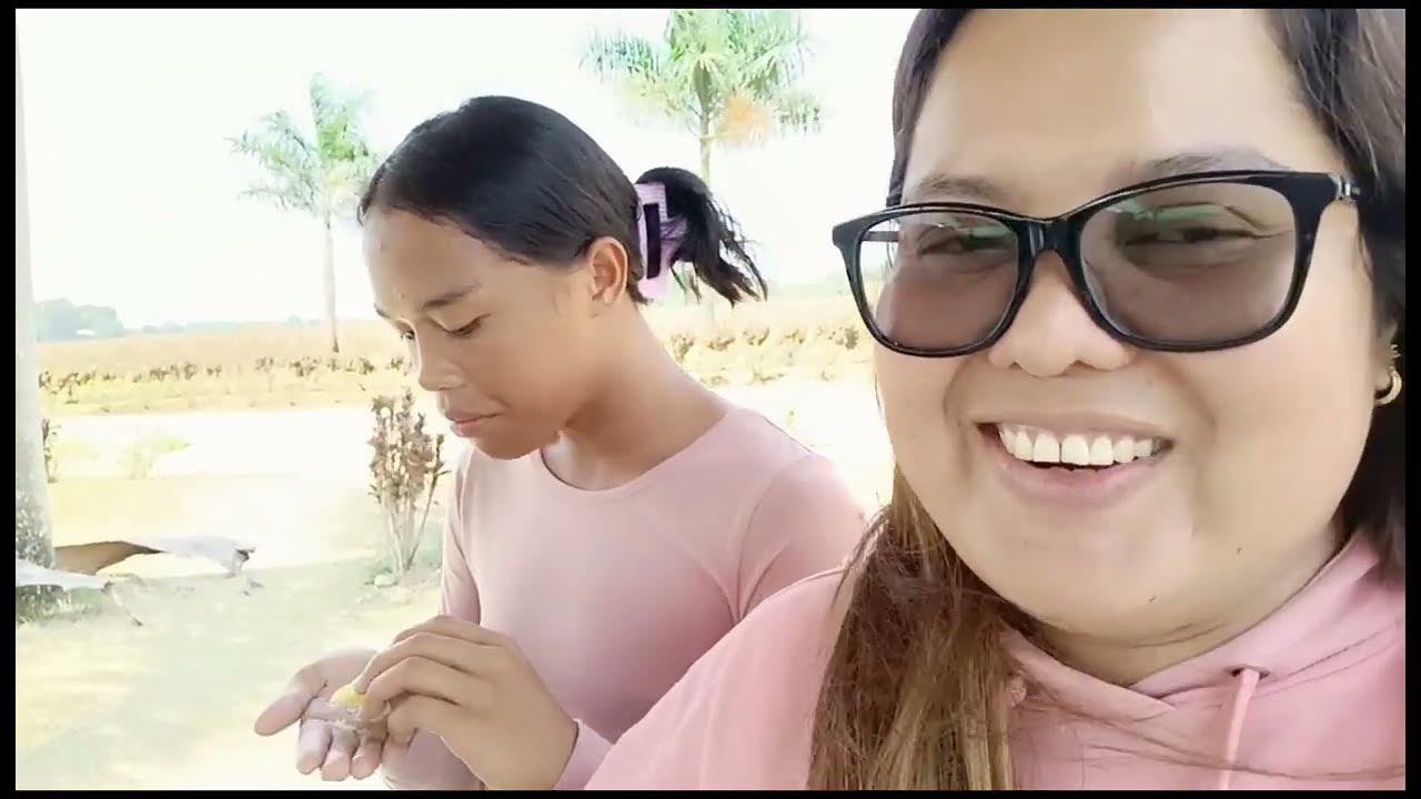 PINEAPPLE FARMORMOC CITY SARAP NG PINYA SUPER TAMIS.... YouTube