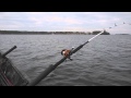 Abu Garcia C3 Catfish Special Round Reel Product Review mp3