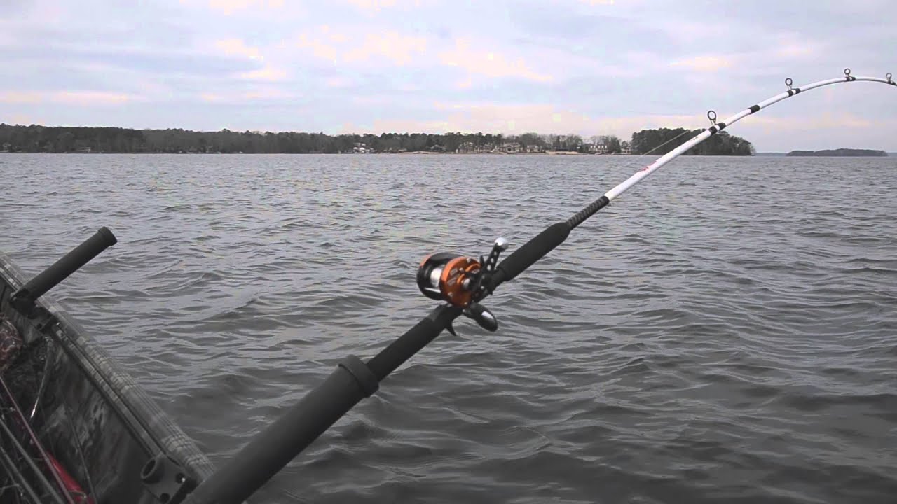 Fishing Gear: Abu Garcia Carp Special Round Reel - In-Fisherman