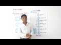 Diagrama de operaciones de procesos (DOP)