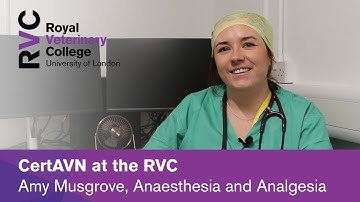 CertAVN at the RVC - Amy Musgrove, Anaesthesia and Analgesia