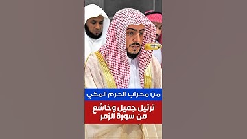 وإذا ذكر الله وحده  || ترتيل جميل وخاشع من سورة الزمر لفضيلة الشيخ د. الوليد الشمسان