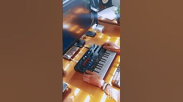 Sampling with Arturia Microfreak | One More Time #sample #daftpunk