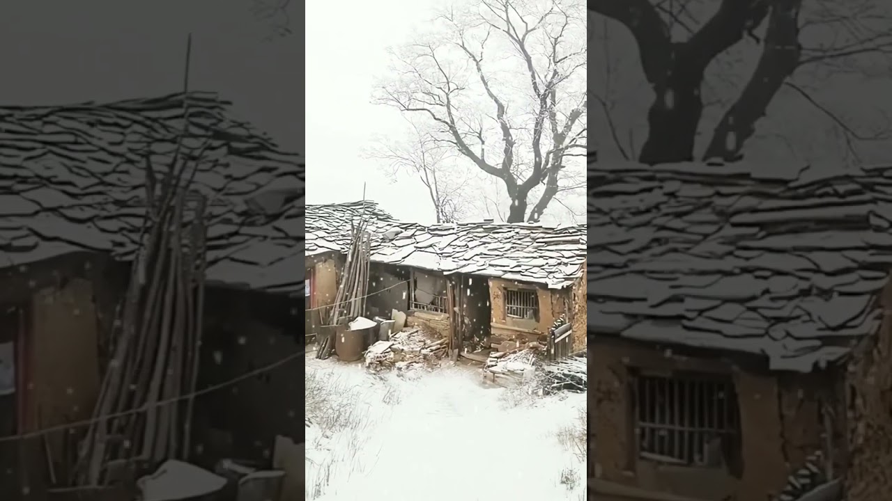 Winter snow falling video