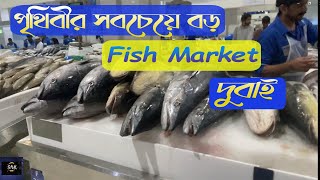 দুবাই এর সেরা মাছের বাজার 🐟🐟 (World Famous Dubai Fish Market) ❤️❤️