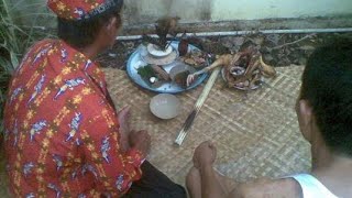 mitos makhluk gaib peliharaan bergelar bahutai..
