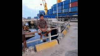 TOWERI. Cip G. Aronggear.Penyanyi Lokal  Cover Song. Fainsenem Betho.