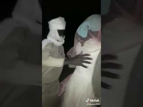 رقص شباب تشاد