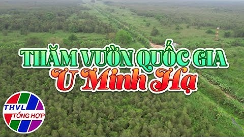 Ký sự truyền hình: Thăm Vườn quốc gia U Minh hạ