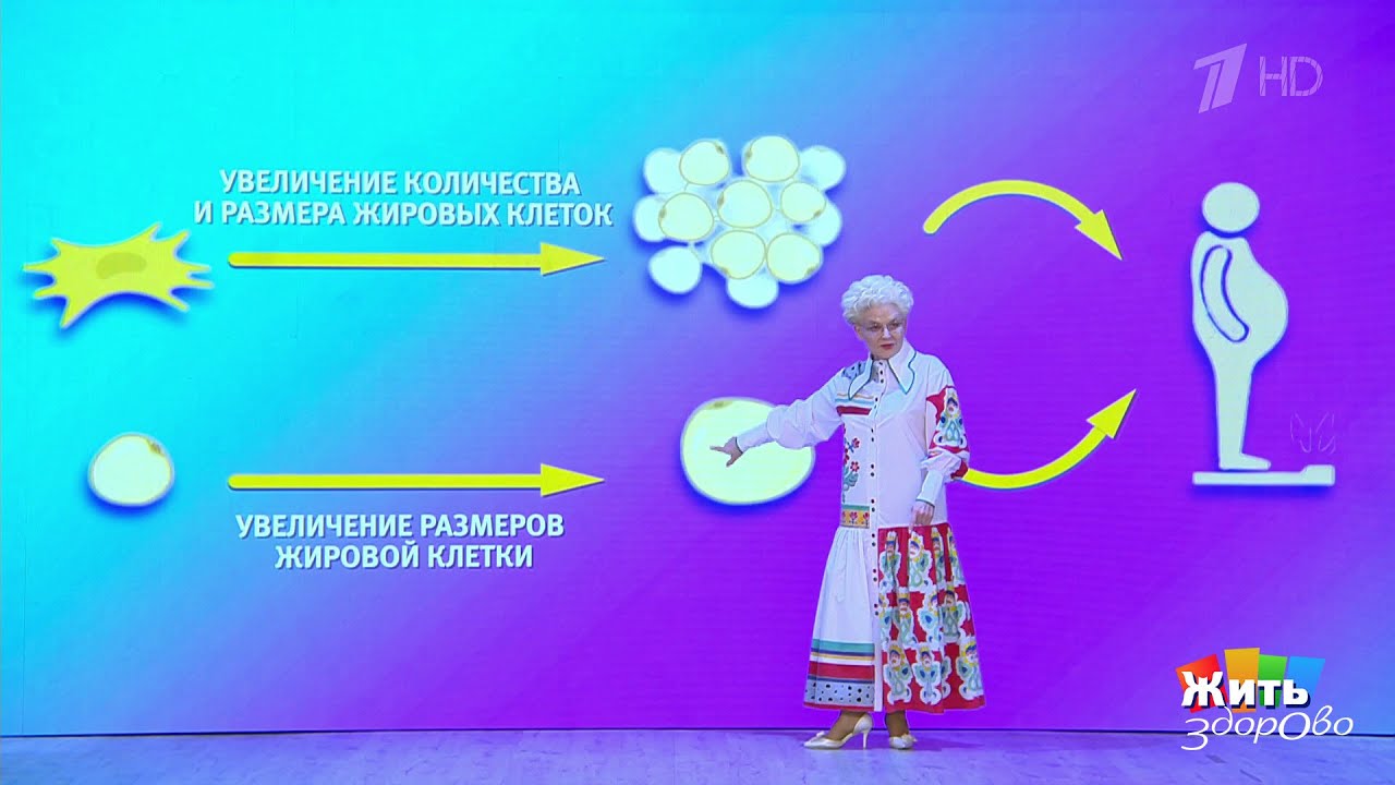 Эпидемия детского ожирения. 02.09.2025