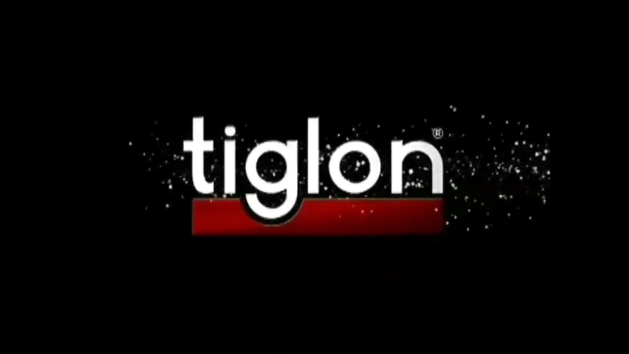 Warning Screen and Tiglon Logo DVD
