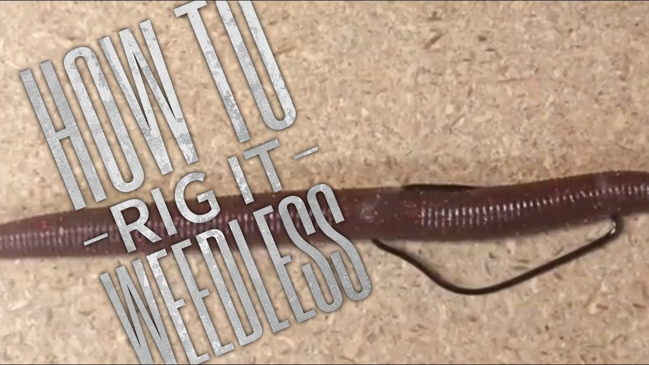 The EWG coming in clutch to... - Spearpoint Performance Hooks