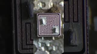 🔬 Transistor TIP31 En El Microscopio