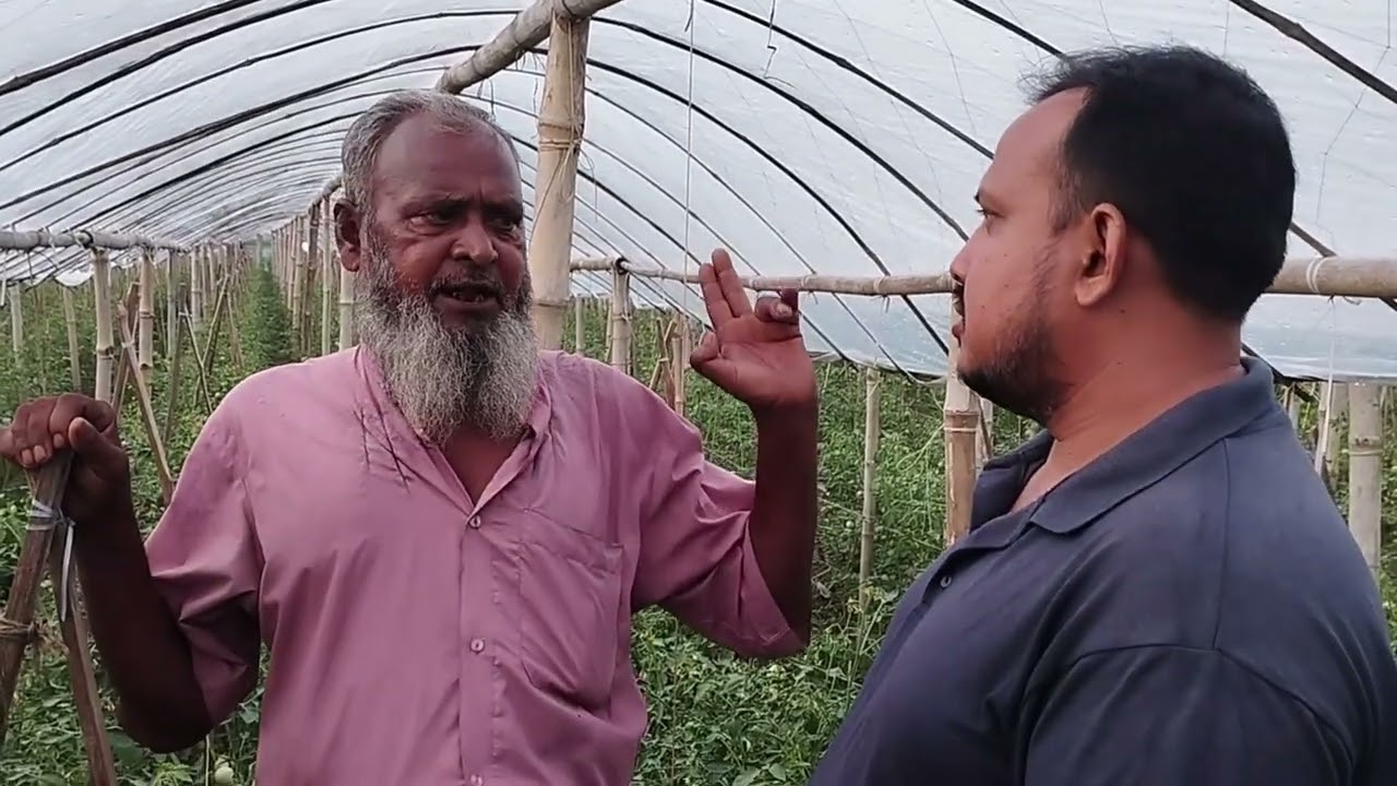 শীতের সবজি বর্ষাকালে চাষ প্রতিবেদন টি দেখবেন আসা করি ভালো লাগবে #farming #nature #villagelife