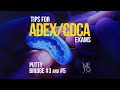 How to use putty to create a bridge putty on teeth 3 and 5 bridge for adex cdca exam success