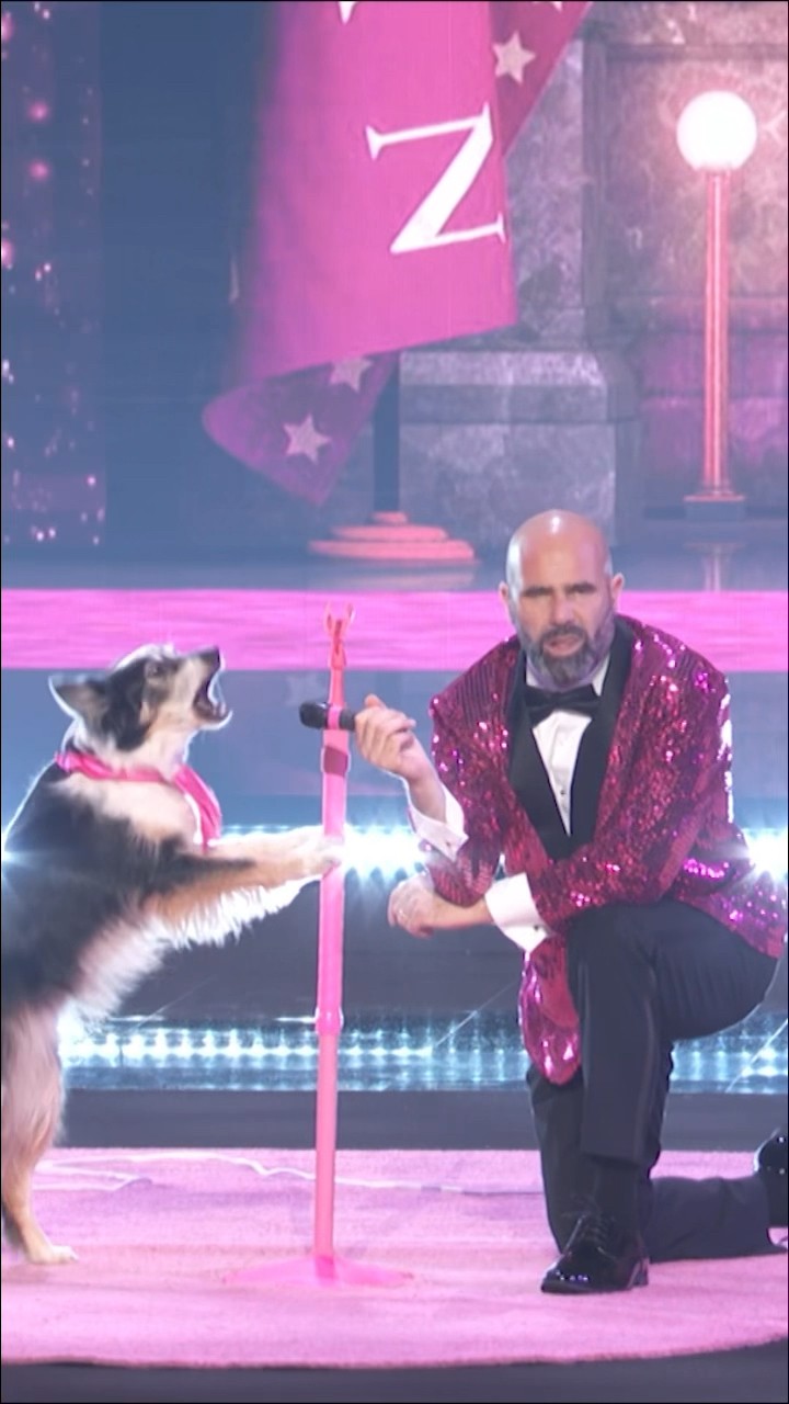 This dog stole the show ?