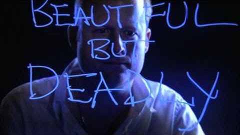 Avatar: The Game - Developer Diary #2 "Beautiful But Deadly"