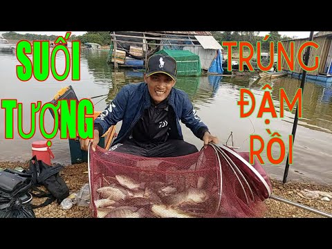 Video (Phần1) Câu Cá Hồ Trị An Mùa Nước Rút Cả Team Trúng... - youtube
