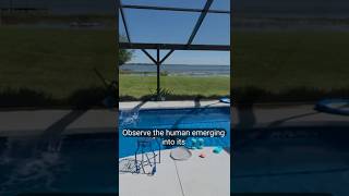 Lakefront Villa for Rent, 304 North Lake Reedy Blvd, Frostproof, FL 33843
