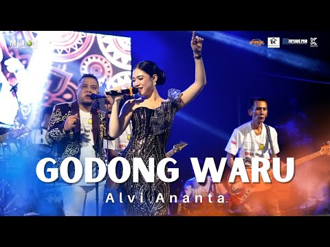 Video Gelo