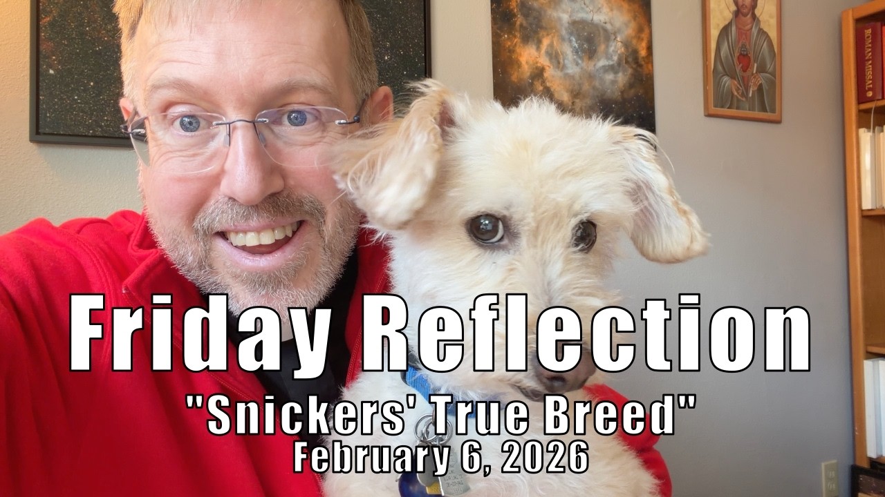 Snickers' True Breed   4K