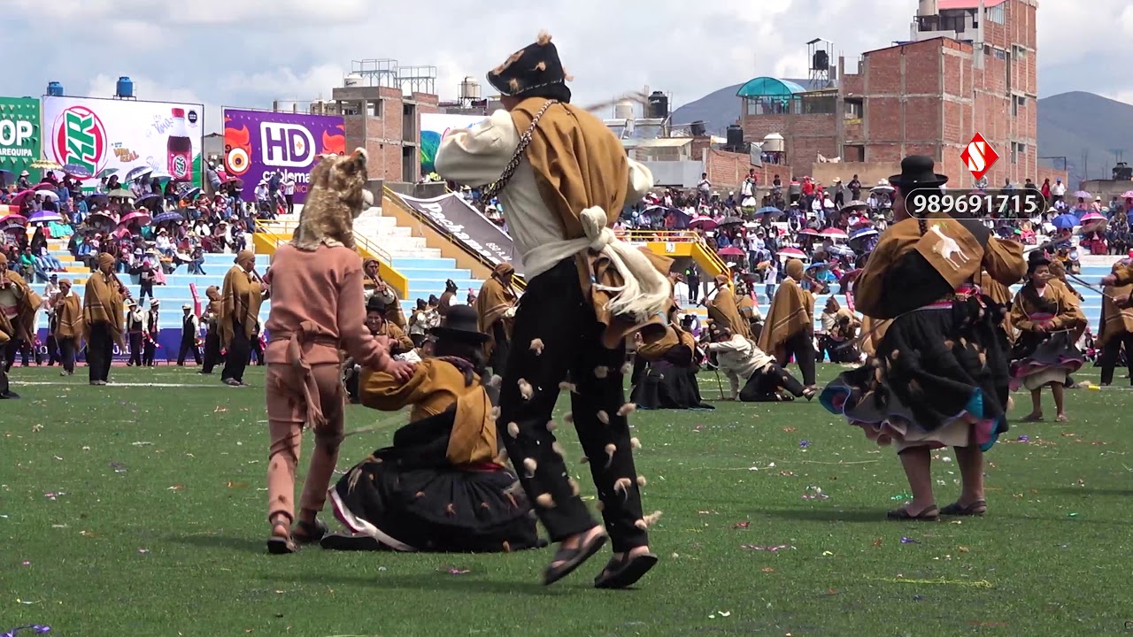CONJUNTO VICUÑITAS DE COLLINI ACORA - DANZAS AUTÓCTONAS (CANDELARIA 2020)