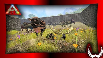 Daeodon Taming for Healing The Army | Ark Survival Evolved Cluster Series EP20