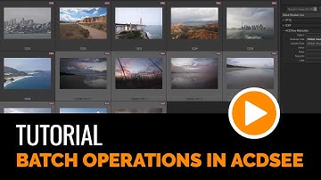 Batch Export and other operations in ACDSee