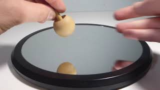 Wooden Tippy Top Rolls in Opposite Precession Direction. Normal Precession Direction on Stem.