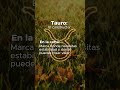 Los arquetipos zodiacales 💛