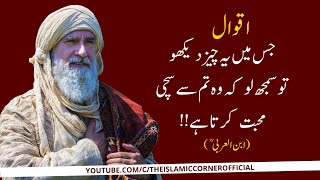 Ibn Arabi Best Dialogues In Hindi/Urdu | Ibnul Arabi Status | Ertugrul Reaction | Ibn Arabi Zikr