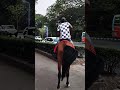"Jiska Koi Nahin" #faithingod #motivation #horseriding #sorts #shorts #shortsfeed #youtubeshorts #yt