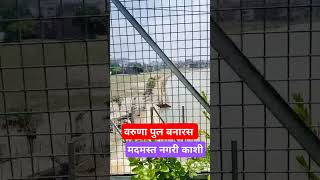 Varuna Bridge Varanasi #shorts #travel #trending #ganga #flood #bridge