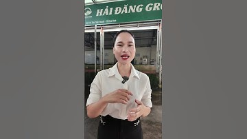 Cá sông Đà Hải Đăng #Dungca  #casongdahaidang #cangon #Nuoica #thucphamsach