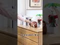One Cabinet for All Your Storage Needs #feedshorts #shortvideo #diy
