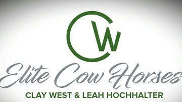 Ranch Sorting - Gate Work Training Session