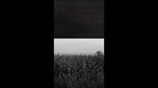 Όπως στέγνωνε το αίμα - Echo Tides