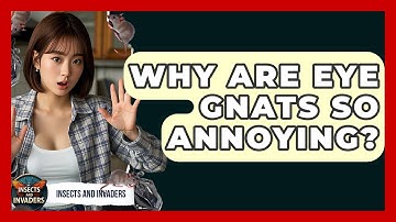 Why Are Eye Gnats So Annoying? - Insects and Invaders