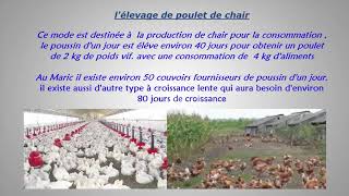 Modes Délevage En Aviculture