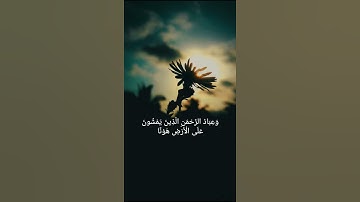 وَعِبَادُ الرَّحْمَنِ الَّذِينَ يَمْشُون - القارئ شريف مصطفى - من سورة الفرقان