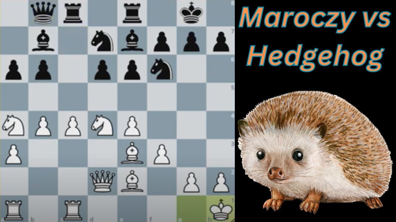 Maroczy Bind vs Hedgehog