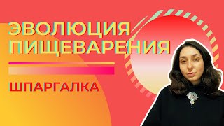 Пищеварительная система животных, эволюция - Шпаргалка. ЦТ, ЕГЭ, ЗНО.