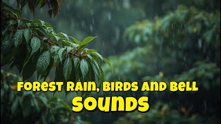 7 Hours of Gentle Forest Rain, Birds & Soft Bells 🕊️  Peaceful Sleep & Anxiety Relief