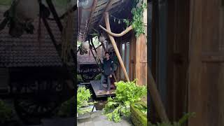 Dee Lumbung House, Wagir - Malang