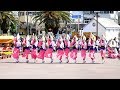 進化した竹踊り「新ばし連」阿波おどり　はなはる2019@徳島藍場浜