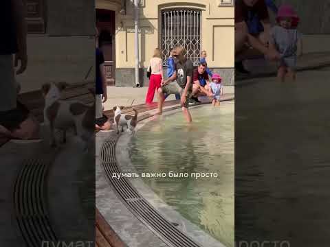 сессия в лучшем Вузе страны 🙈 #вшэ #сессия #поступление #влог #учеба #обучение #hse #study #shorts