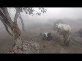 aj main kam kr rha hun dekhiy aj ka vlog