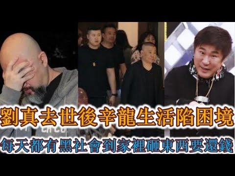 劉真走了以後辛龍生活陷困境，每天都有黑社會到家裡砸東西要還錢，胡瓜公開給辛龍捐款：當給孩子的學費