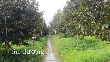 lắp bét phun thuốc tự động cho sầu riêng ở cái bè, tiền giang, hân hạnh được phục vụ