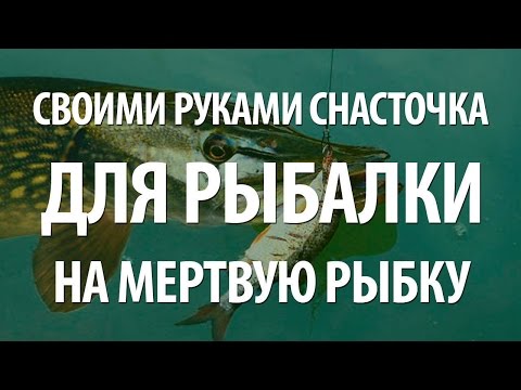 ловля щуки спиннингом на мертвую рыбку